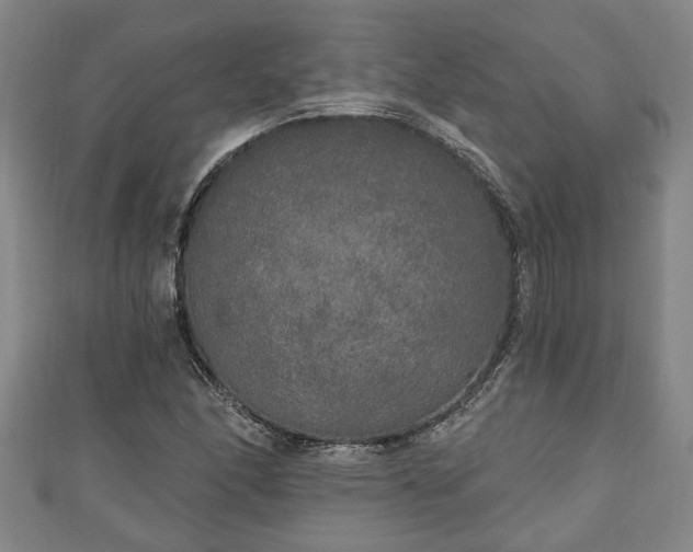 X0000111171166200907081208