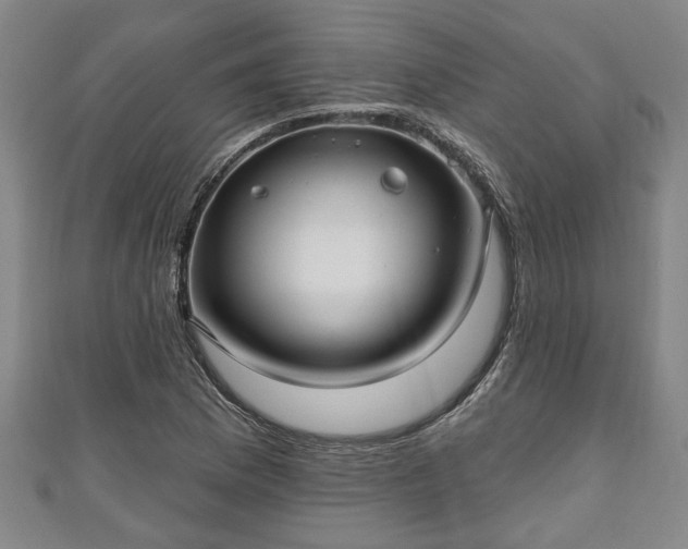 X0000111171169200907081208