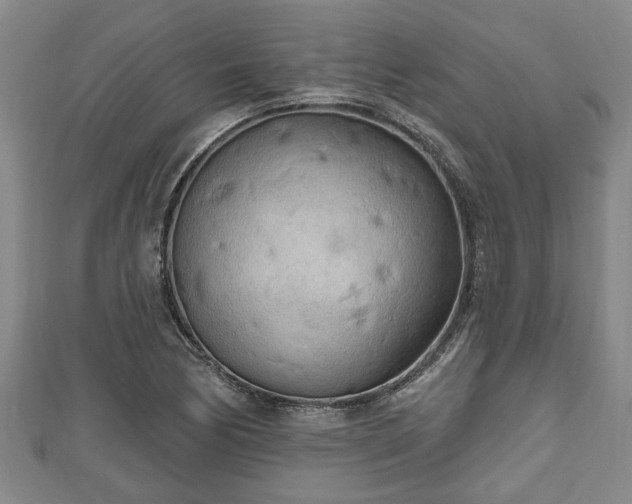 X0000111171170200907081208