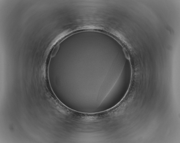 X0000111171173200907081208