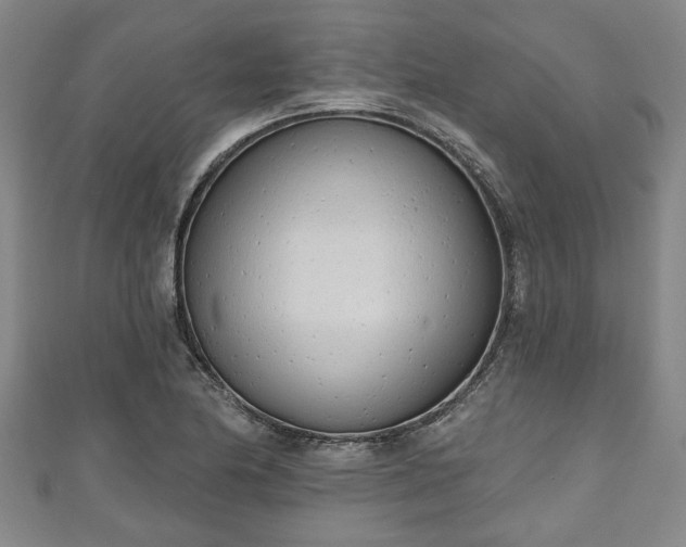 X0000111171174200907081208