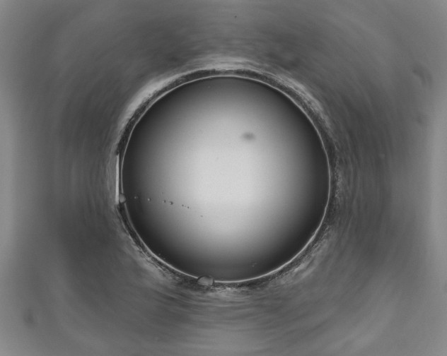 X0000111171175200907081208