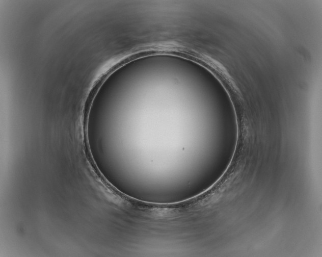 X0000111171176200907081208