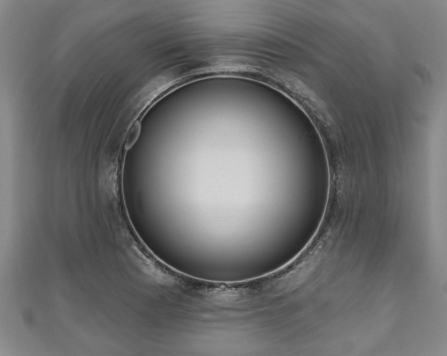 X0000111171177200907081208