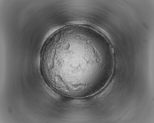 X0000111171179200907081208