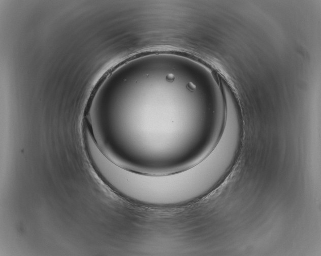 X0000111171181200907081208