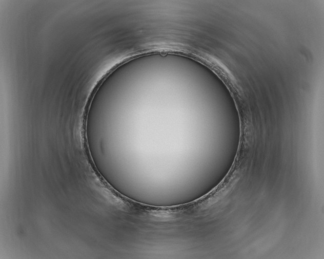 X0000111171182200907081208