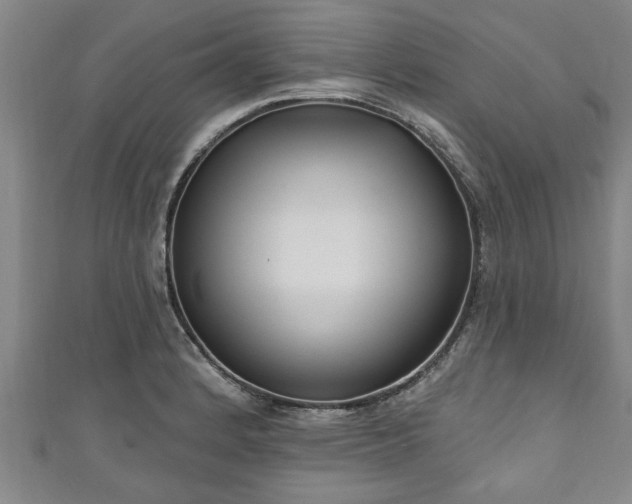 X0000111171184200907081208