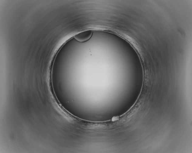 X0000111171187200907081208