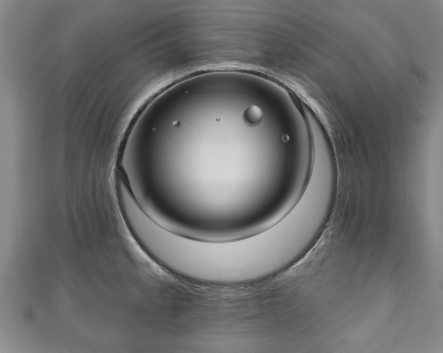 X0000111171189200907081208