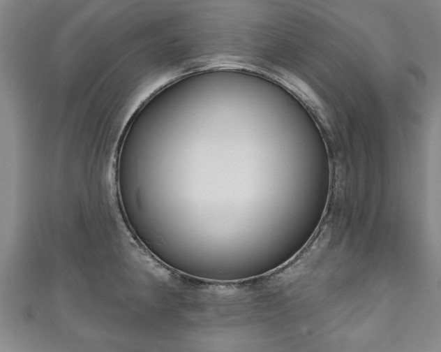 X0000111171190200907081208