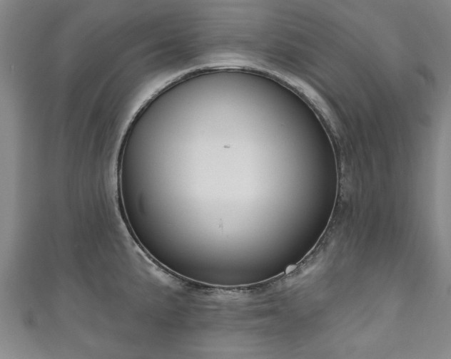 X0000111171191200907081208