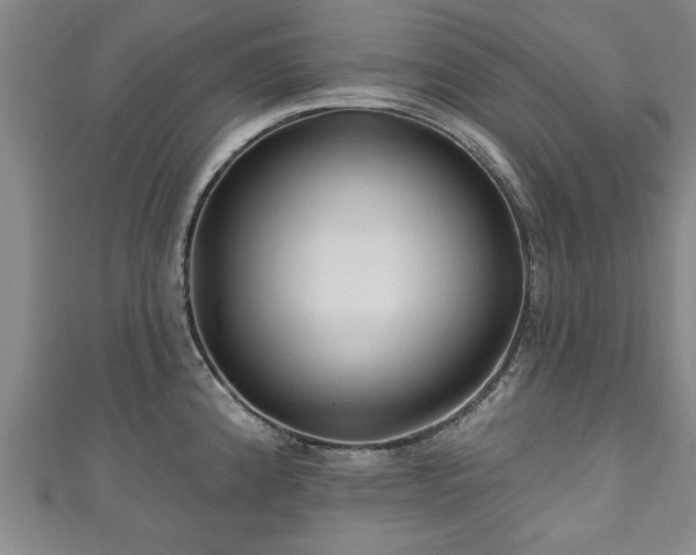 X0000111171192200907081208