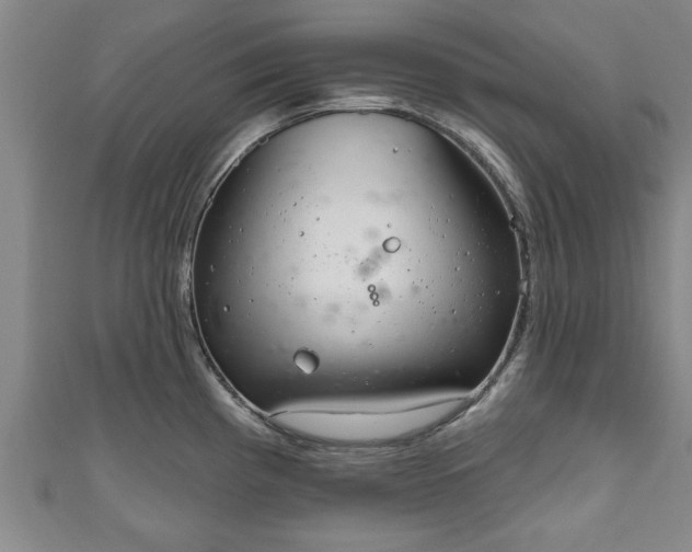 X0000111171193200907081208