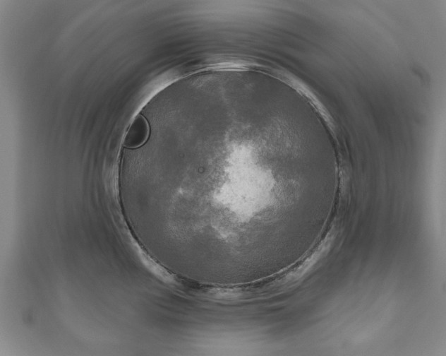 X0000111171194200907081208