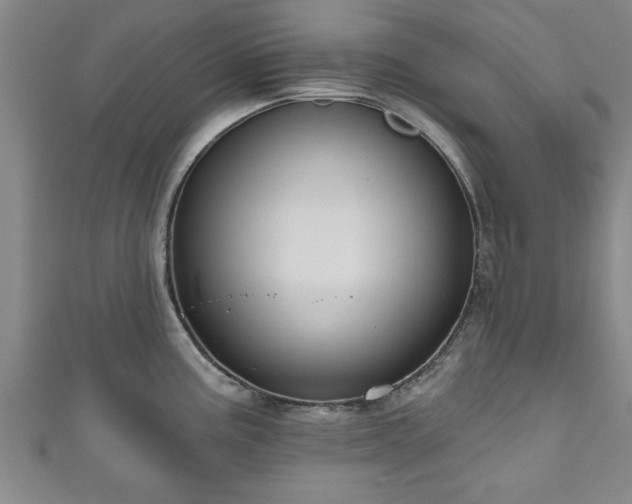 X0000111171195200907081208