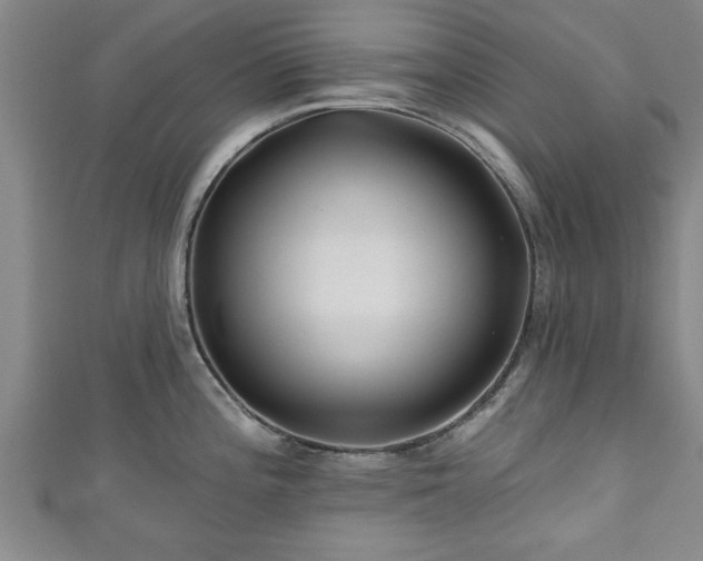 X0000111171196200907081208