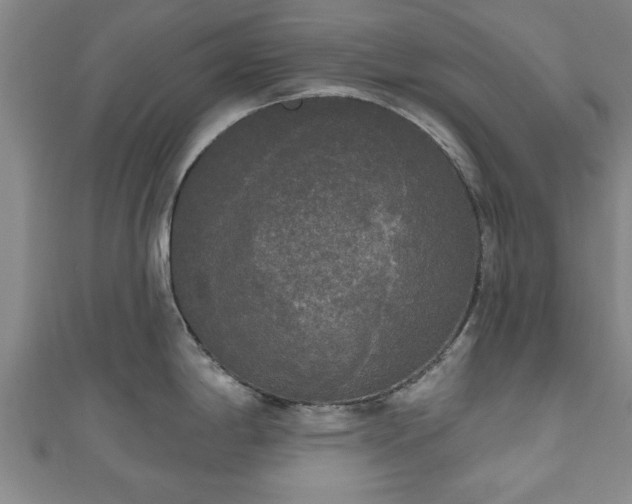 X0000111171198200907081208