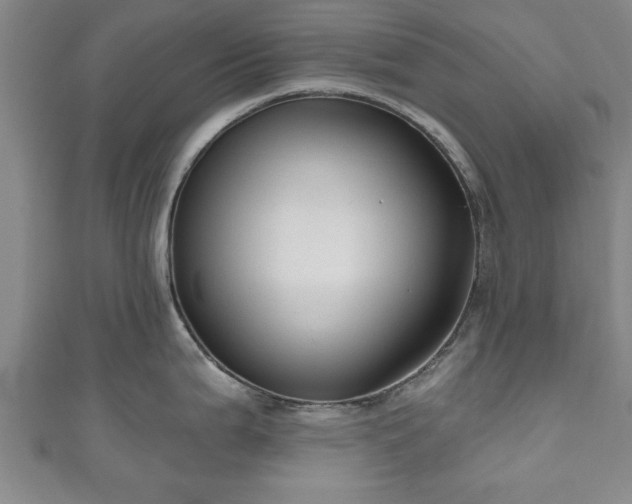 X0000111171199200907081208