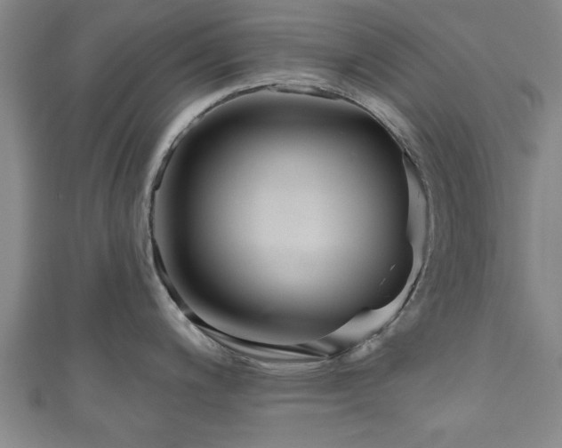 X0000111171200200907081208