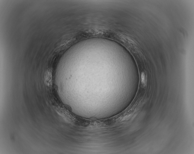 X0000111171203200907081207