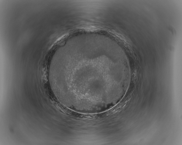 X0000111171205200907081207