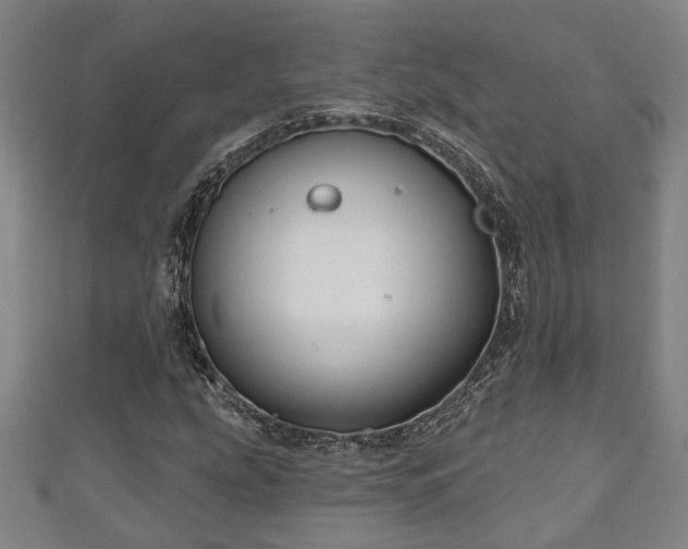 X0000111171207200907081207