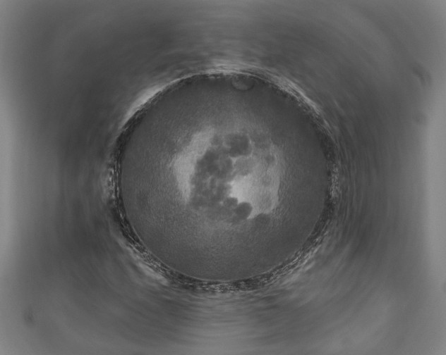 X0000111171208200907081207