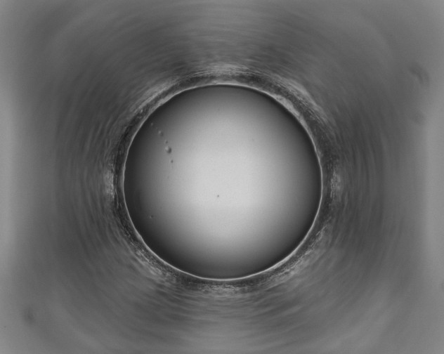 X0000111171209200907081207