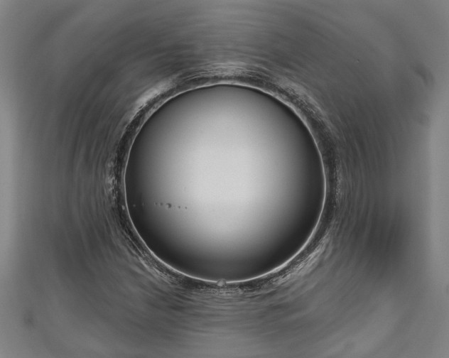 X0000111171210200907081207