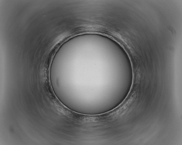 X0000111171211200907081207