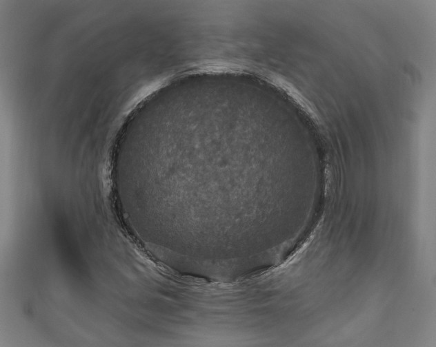 X0000111171213200907081207