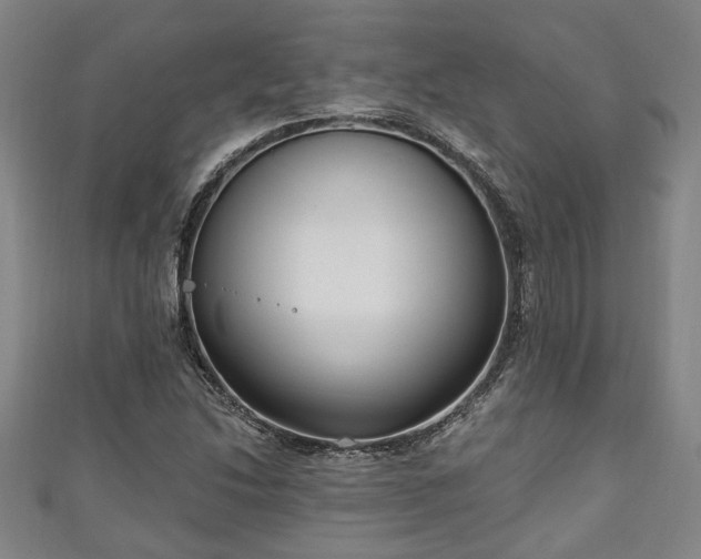 X0000111171214200907081207