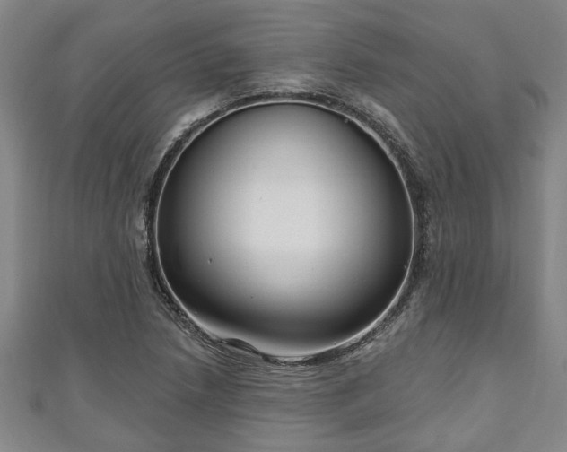 X0000111171218200907081208