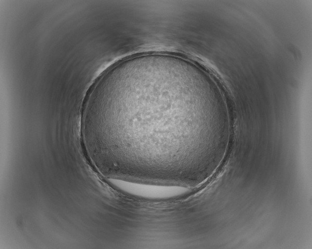 X0000111171220200907081208