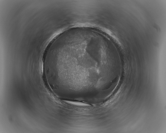 X0000111171221200907081208