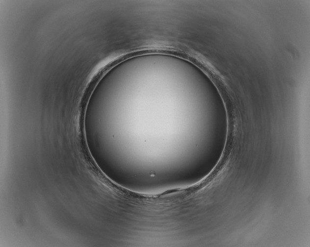 X0000111171222200907081208