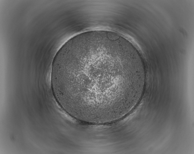 X0000111171228200907081208