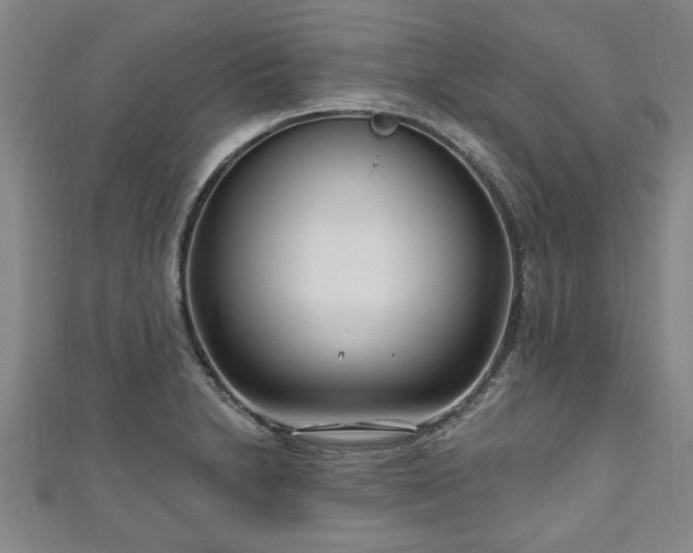 X0000111171230200907081208