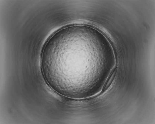 X0000111171232200907081208