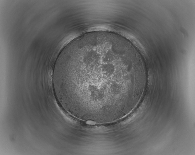 X0000111171233200907081208