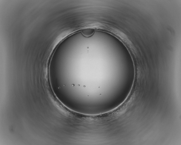 X0000111171234200907081208