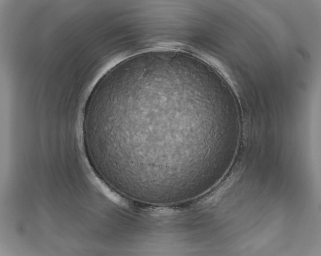 X0000111171235200907081208