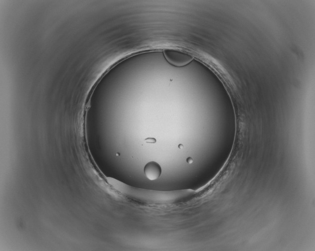 X0000111171236200907081208