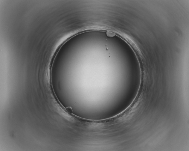 X0000111171238200907081208