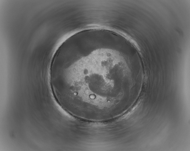 X0000111171239200907081208