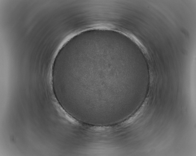 X0000111171240200907081208