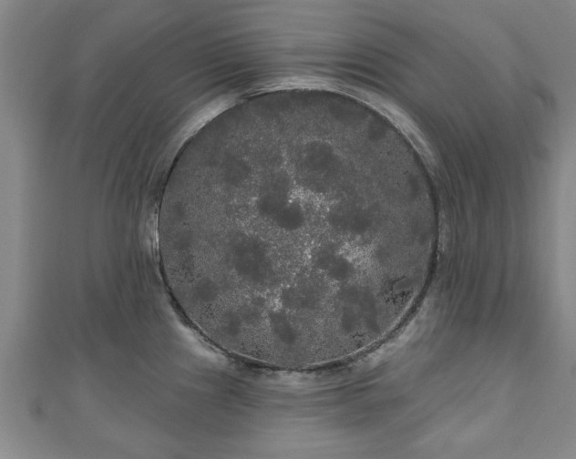 X0000111171241200907081208