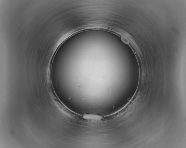 X0000111171242200907081208