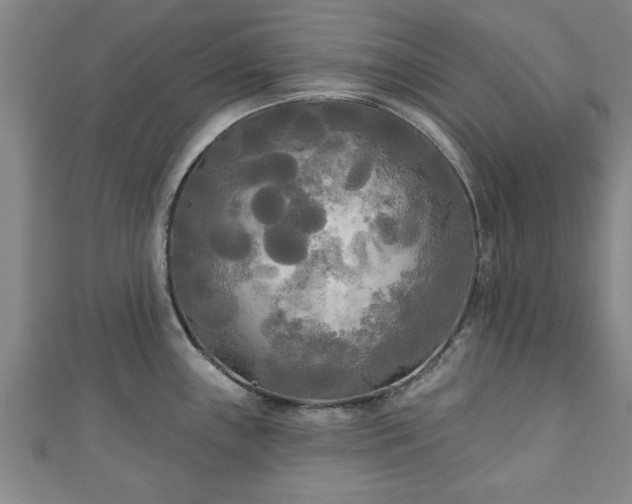 X0000111171243200907081208